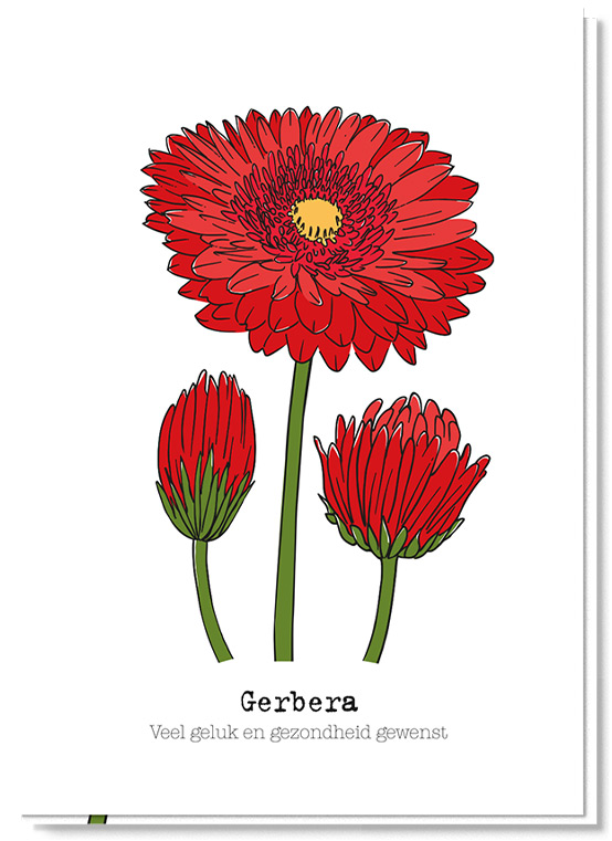 Voorkant bloemenkaart met daarop 3 rode gerbera's en de betekenis van de bloem 'Veel geluk en gezondheid gewenst'