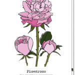 Voorkant bloemenkaart met daarop 3 pioenrozen en de betekenis 'een gelukkig en gezond leven'