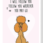 Voorkant Hondenkaart met daarop de tekst 'I will follow you, follow you wherever you may go' en een grote oranje poedel daaronder