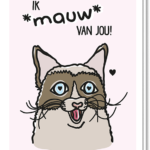 Voorkant kattenkaart met daarop een kat met hartjes ogen die zegt 'Ik Mauw van jou!'